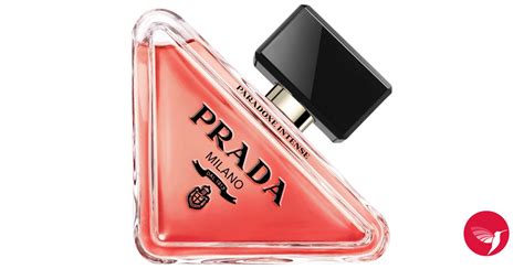 chogan prada paradoxe|prada paradoxe intense for women.